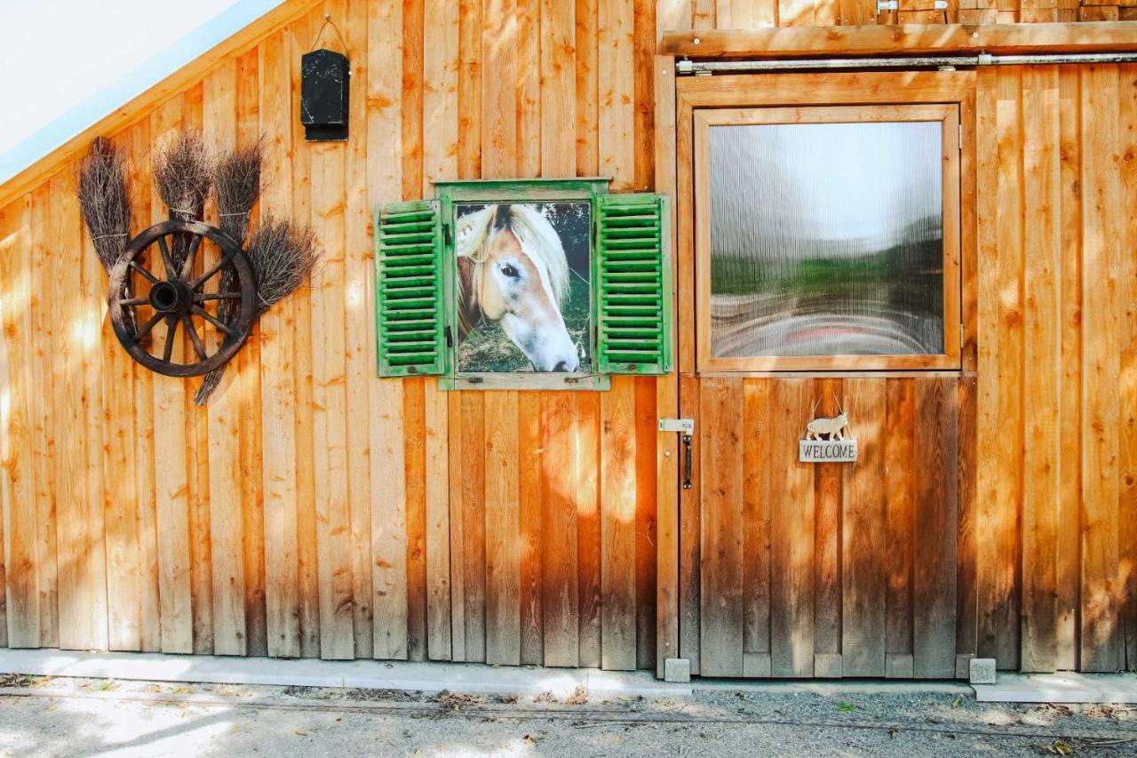 Amd Chalet Stang bei Hatzendorf 外观 照片